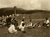 historia ro undefined jpeg