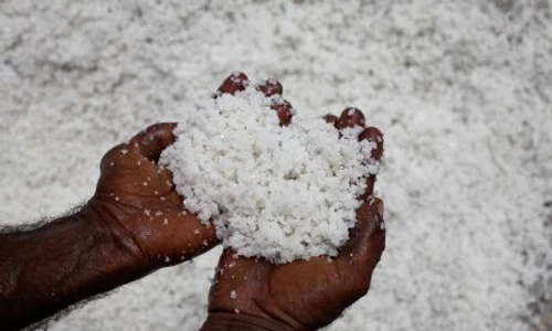 1 48839 original jpg jpeg