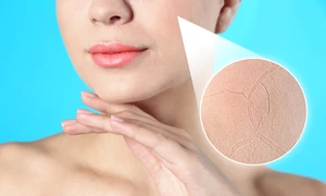 shutterstock 2703952865 jpg