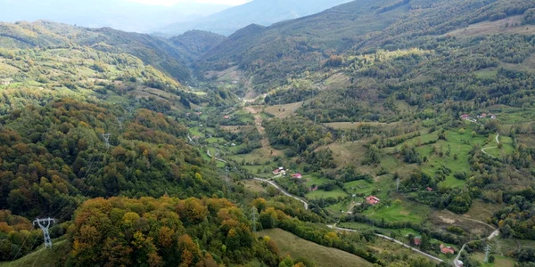 Zona Merișor   Dealul Babii  Foto Daniel Guță (4) JPG