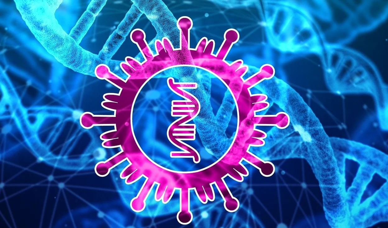 S-a născut o nouă criptomonedă: CoronaCoin