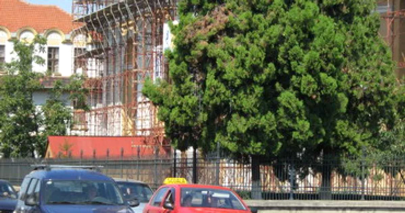 Oradea: Promovabilitatea școlilor de șoferi a scăzut