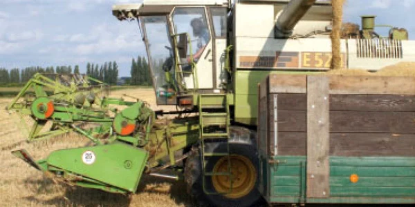 Vremea rea a redus recolta de grâu cu 20%