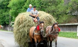 Problemele săteanului sînt singurele care contează jpeg