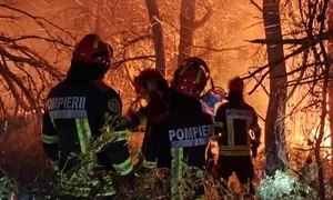 Pompieri români lupta cu incendiile din Franța FOTO X