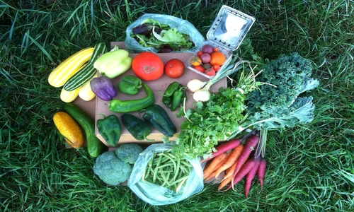 1 80393 original jpg jpeg