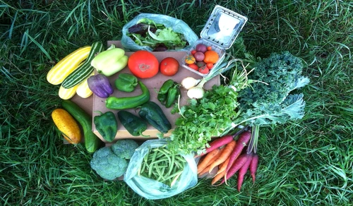 1 80393 original jpg jpeg