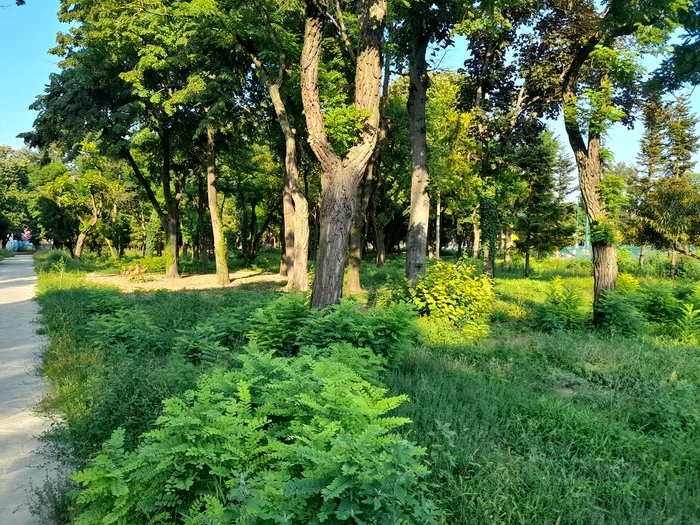 Parcul Civic FOTO Pressalert.ro