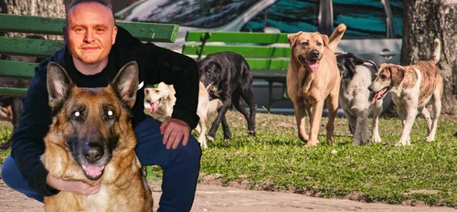 Mihai Nae ne învață cum să ne salvăm viața, în caz că suntem atacați de o haită de maidanezi