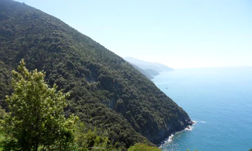 historia ro undefined jpeg