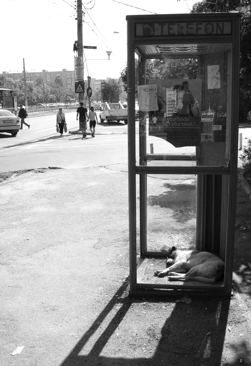 Cu ochii n 3,14 jpeg