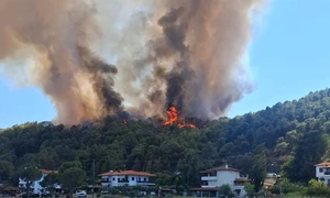 incendiu grecia jpg