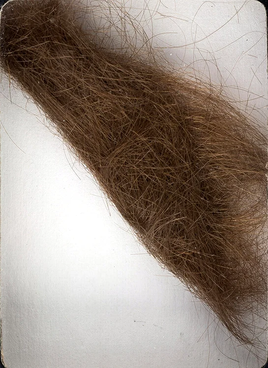 O șuviță din părul lui John Lennon a atins sume amețitoare la o casă de licitații din SUA