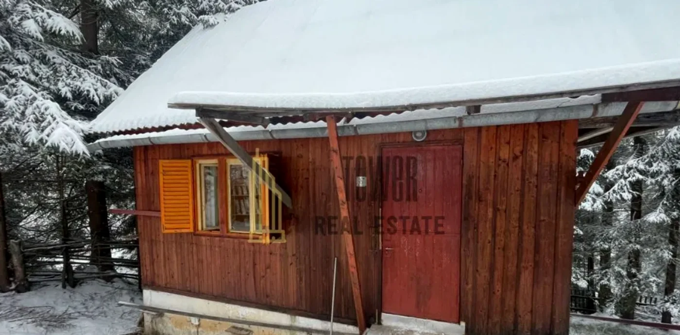 Cabana cu 33.000 de euro în Muntele Băișorii. FOTO: Tower Real Estate 