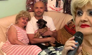 Banner Camelia Mitoseru