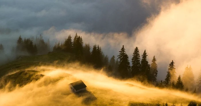 Fotografia realizată de bistriţeanul Ovidiu Lazăr - Rodna, Bistriţa-Năsăud FOTO: National Geographic