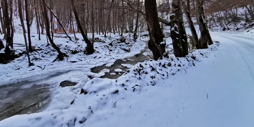 Iarna în Munţii Orăştiei, pe valea râului Sibişel