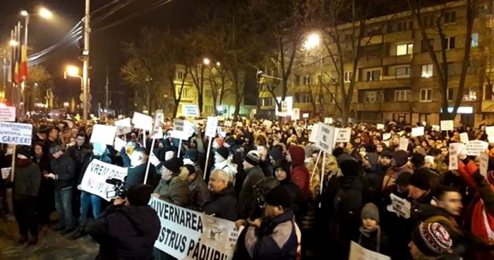 Protest gratiere Timisoara 2017 FOTO Stefan Both