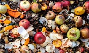 risipa-alimente Foto NewsIn