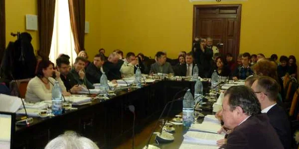consiliul local botosani