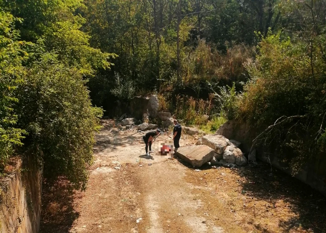 Bărbatul a fost găsit la aproximativ 24 ore de la dispariţie FOTO: IPJ Olt