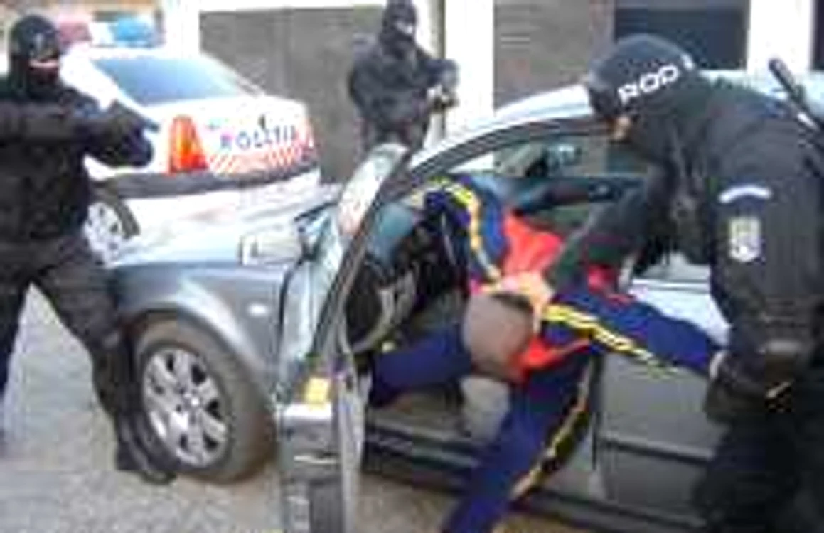 Poliţiştii au dat iama în infractori. FOTO: NICOLETA BUTNARU