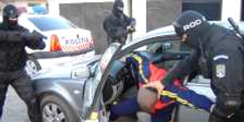 Poliţiştii au dat iama în infractori. FOTO: NICOLETA BUTNARU