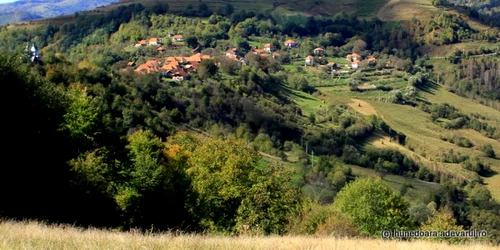 bunila