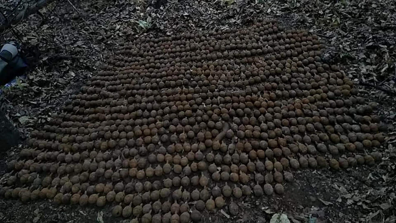 
    Grenadele au fost scoase dintr-o pădure din Vrancea  