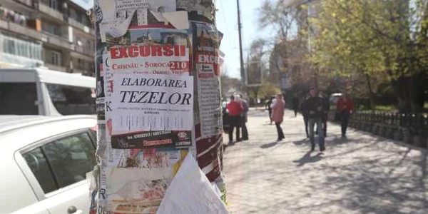Afaceri cu teze