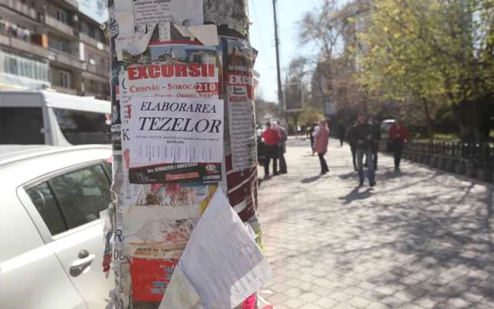 Stâlpii, gardurile şi copacii din apropierea instituţiilor de învăţământ sunt încărcate cu anunţuri de vânzare a tezelor. FOTO: Dumitru Goncear