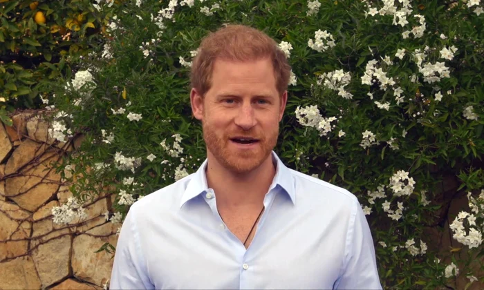 Printul Harry mesaj WellChild jpg