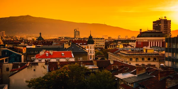 sofia shutterstock 500818774 jpg