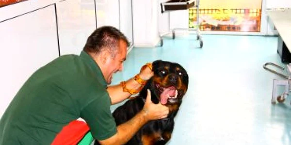 Craiova: Veterinarii sunt asaltaţi de animale alergice
