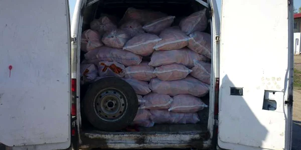 Toată cantitatea de morcovi a fost confiscată de polițiști