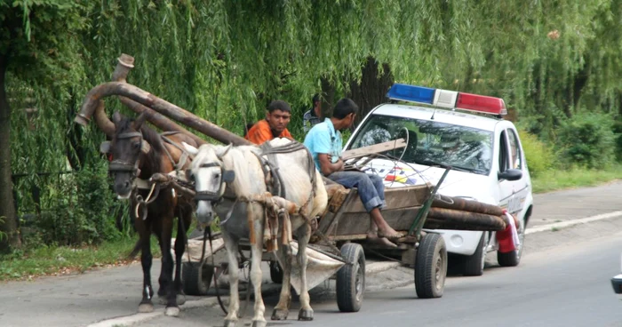 Hoţii au fost surprinşi de poliţişti