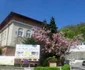Liceul Tehnologic Căpitan Nicolae Pleşoianu Râmnicu Vâlcea Foto Adevărul