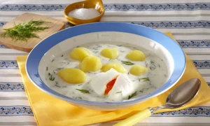 profi 0107135459 jpeg