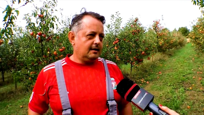 Călin Herțeg are o livadă de trei hectare și jumătate / captură: Observator 