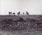 starsish sites