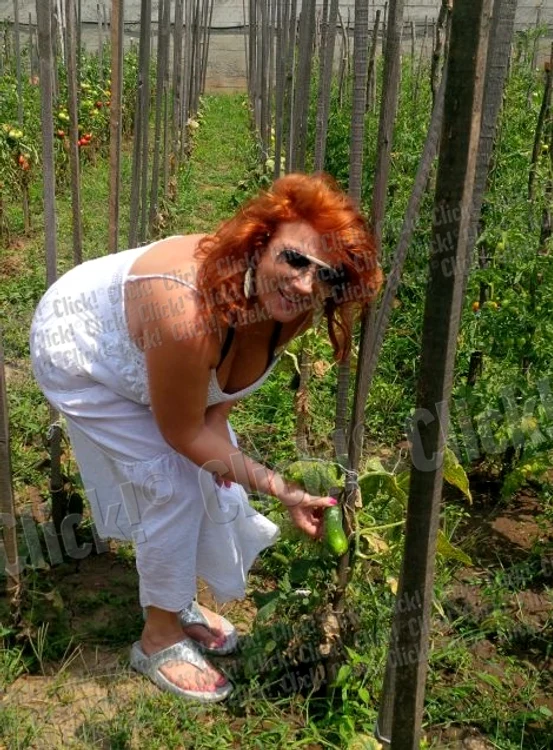 Mihaela Borcea cultivă legume acasă