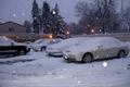 shekusheriff winter 430469 1280 jpg