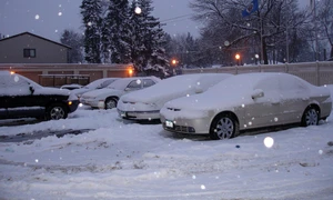 shekusheriff winter 430469 1280 jpg