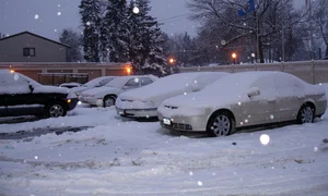 shekusheriff winter 430469 1280 jpg