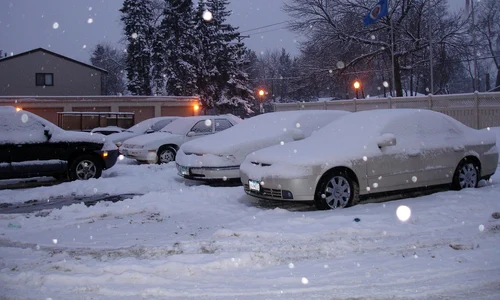shekusheriff winter 430469 1280 jpg
