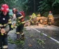 Copaci căzuți/FOTO: ISU Suceava
