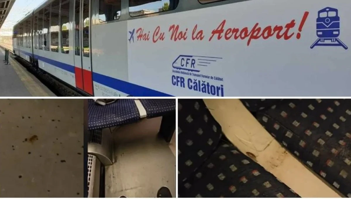 Reacția CFR Călători după ce imaginile cu gândacii din trenul spre Otopeni au devenit virale: „Aduşi prin bagaje”