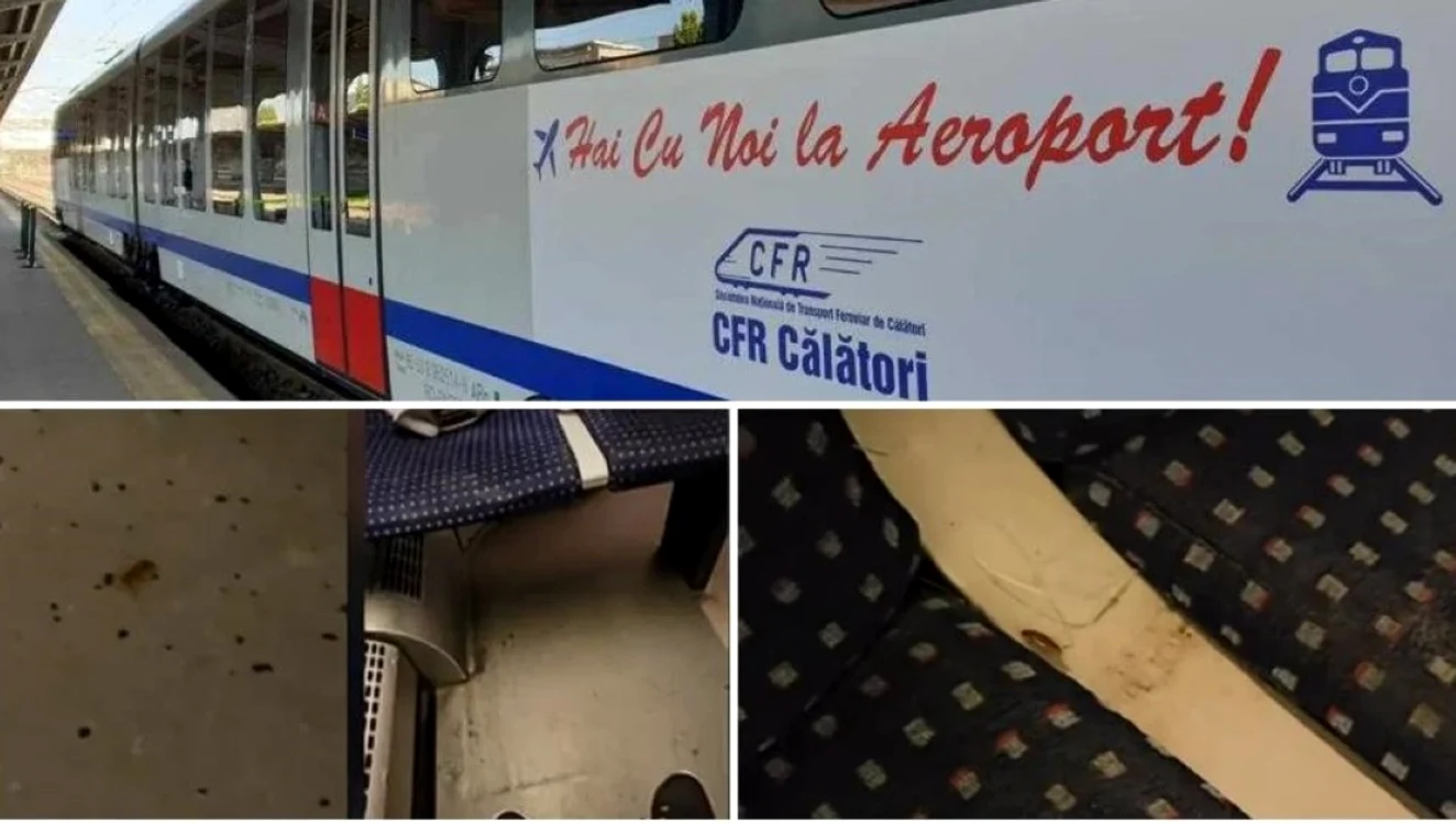 Imagini cu gandacii din trenul spre aeroport. FOTO: Ştiri pe surse