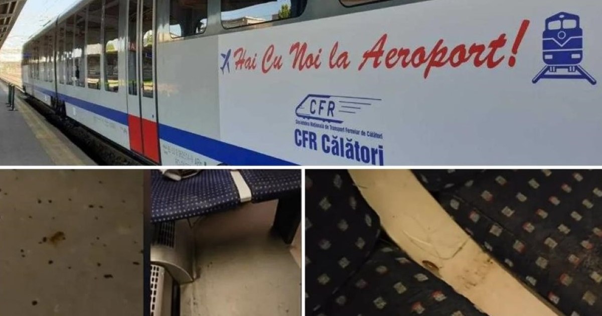 CFR Călători, reacție oficială după scandalul gândacilor