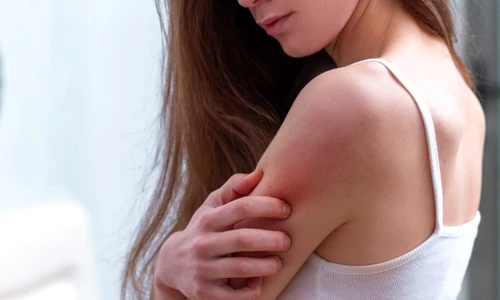 1 shutterstock 1335878222 jpg jpeg